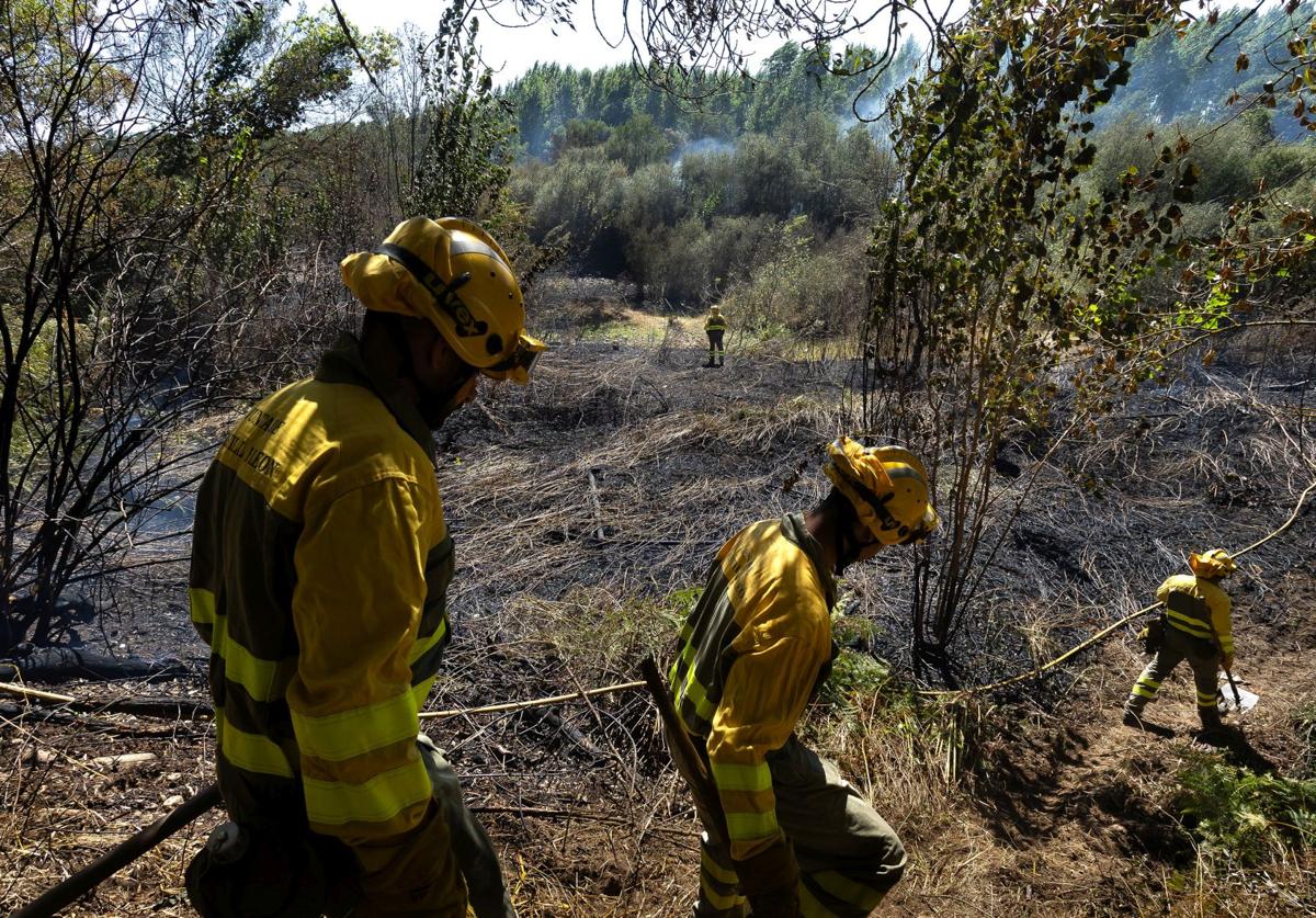 Una cuadrilla de extinción de incendios en un fuego en la provincia durante 2024.
