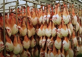 Jamones en el matadero y sala de despiece de Mozárbez.