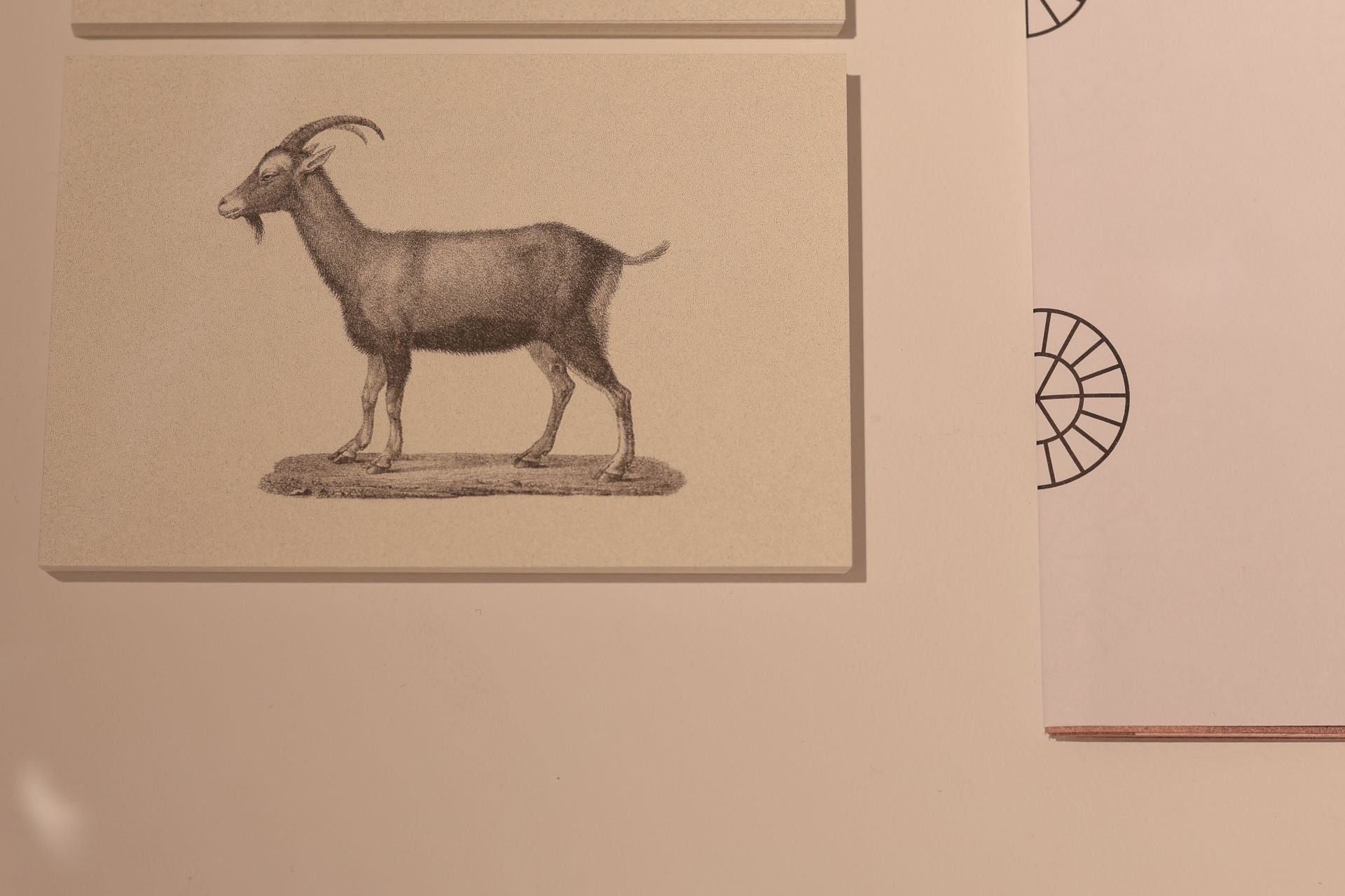 En imágenes la nueva exposición del DA2
