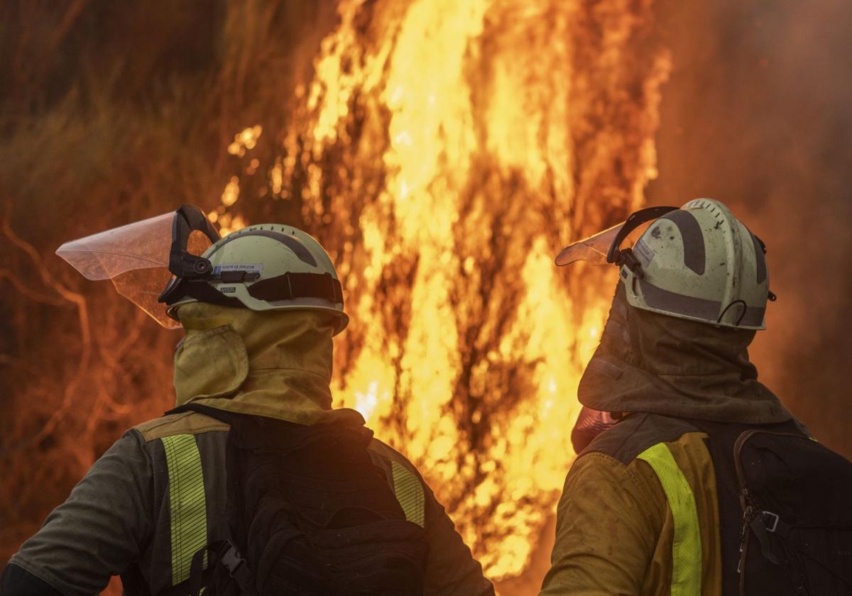 Bomberos forestales en una imagen de archivo