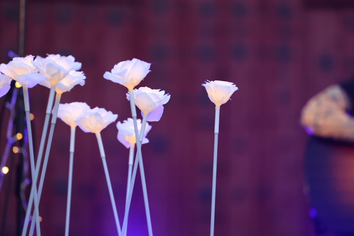Teatro interactivo y Carlos Escobedo cierran el Fàcyl 2025