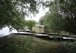 La zona donde el joven desapareció en Alba de Tormes