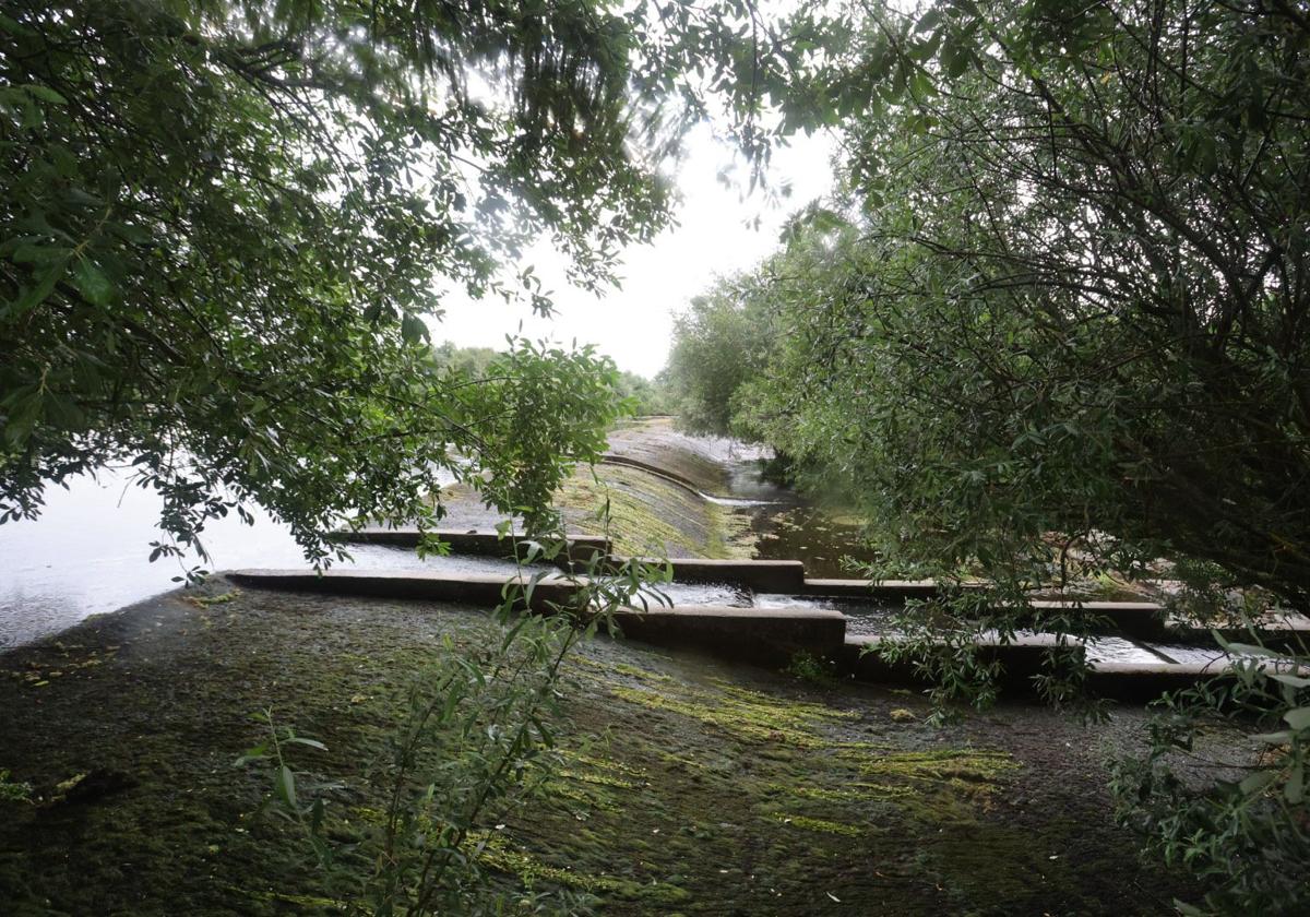 La zona donde perdió la vida el joven de 14 años en Alba de Tormes