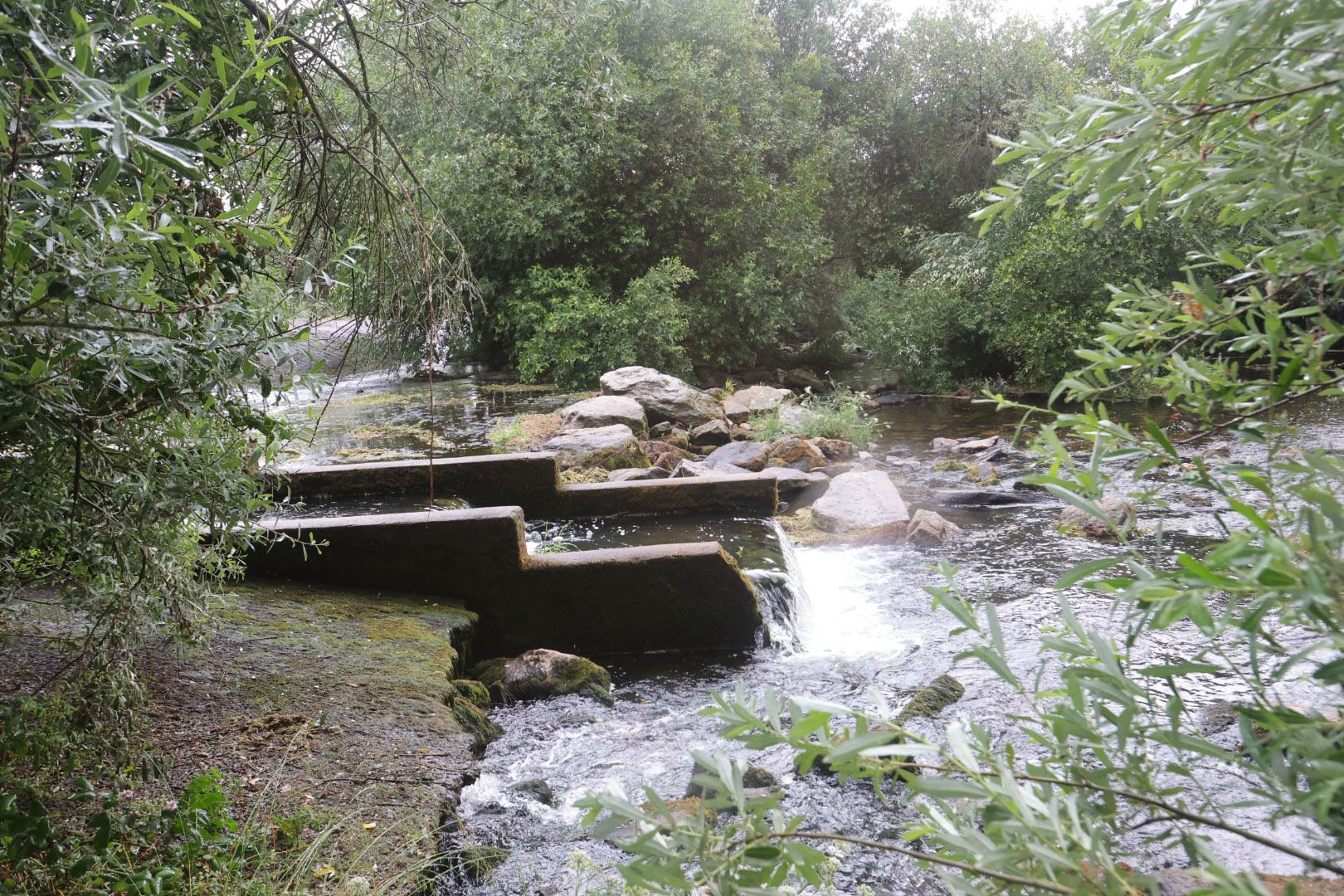 La zona donde perdió la vida el joven de 14 años en Alba de Tormes