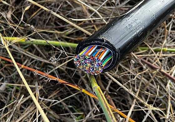 Interior de un cable telefónico.