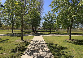 Cerrados los parques y la zona arbolada de La Aldehuela por fuertes rachas de viento