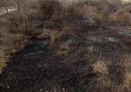 La tormenta eléctrica desata un incendio en Cabeza del Caballo