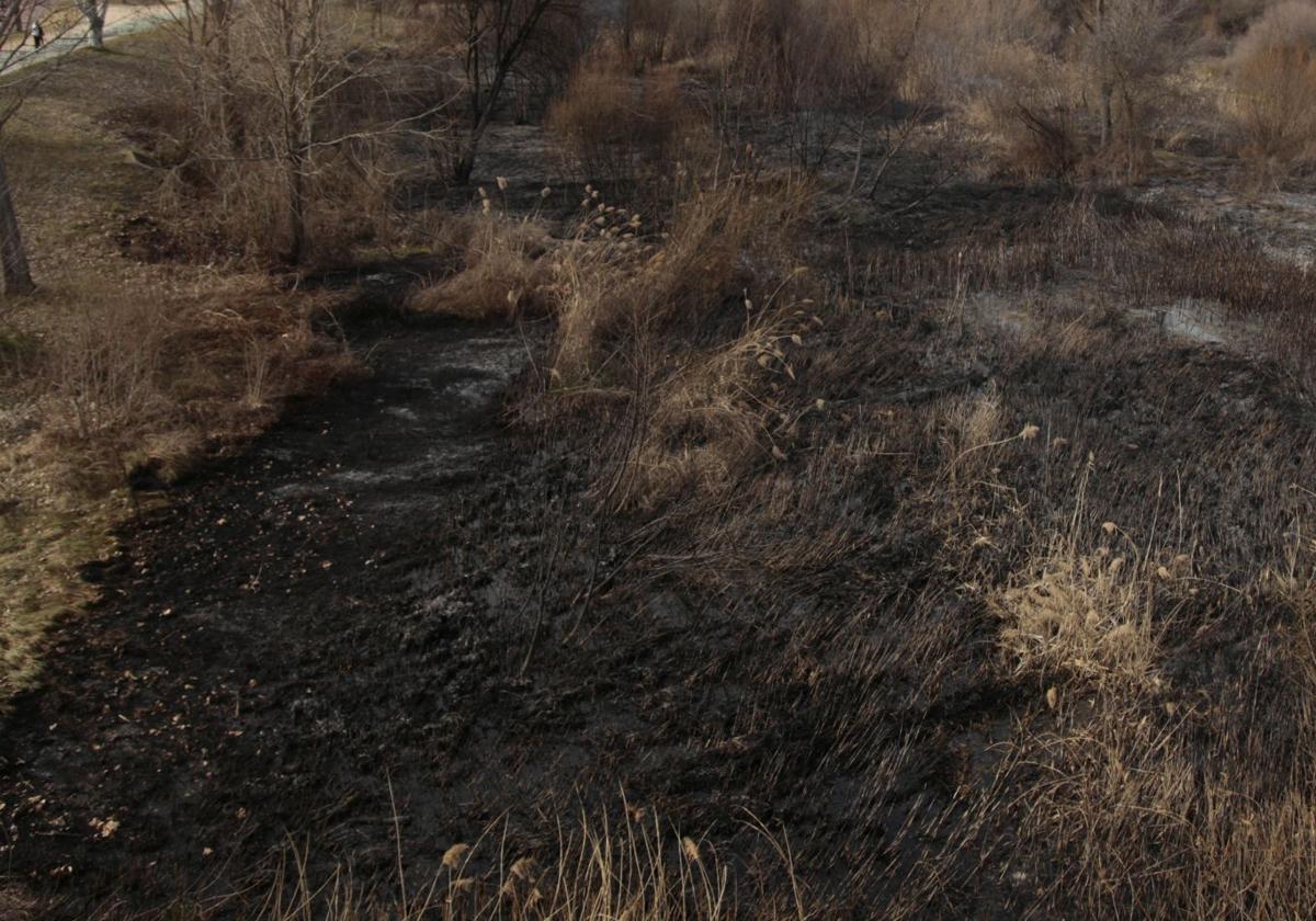 La tormenta eléctrica desata un incendio en Cabeza del Caballo