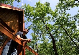 El Roble Glamping, en Lagunilla.