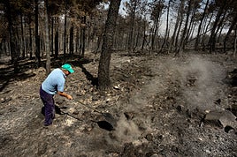 Incendio de Monsagro ocurrido en 2022