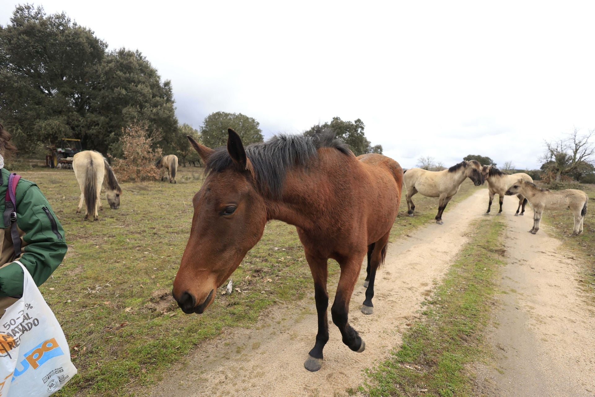 La reserva biológica refugio de especies amenazas en Salamanca