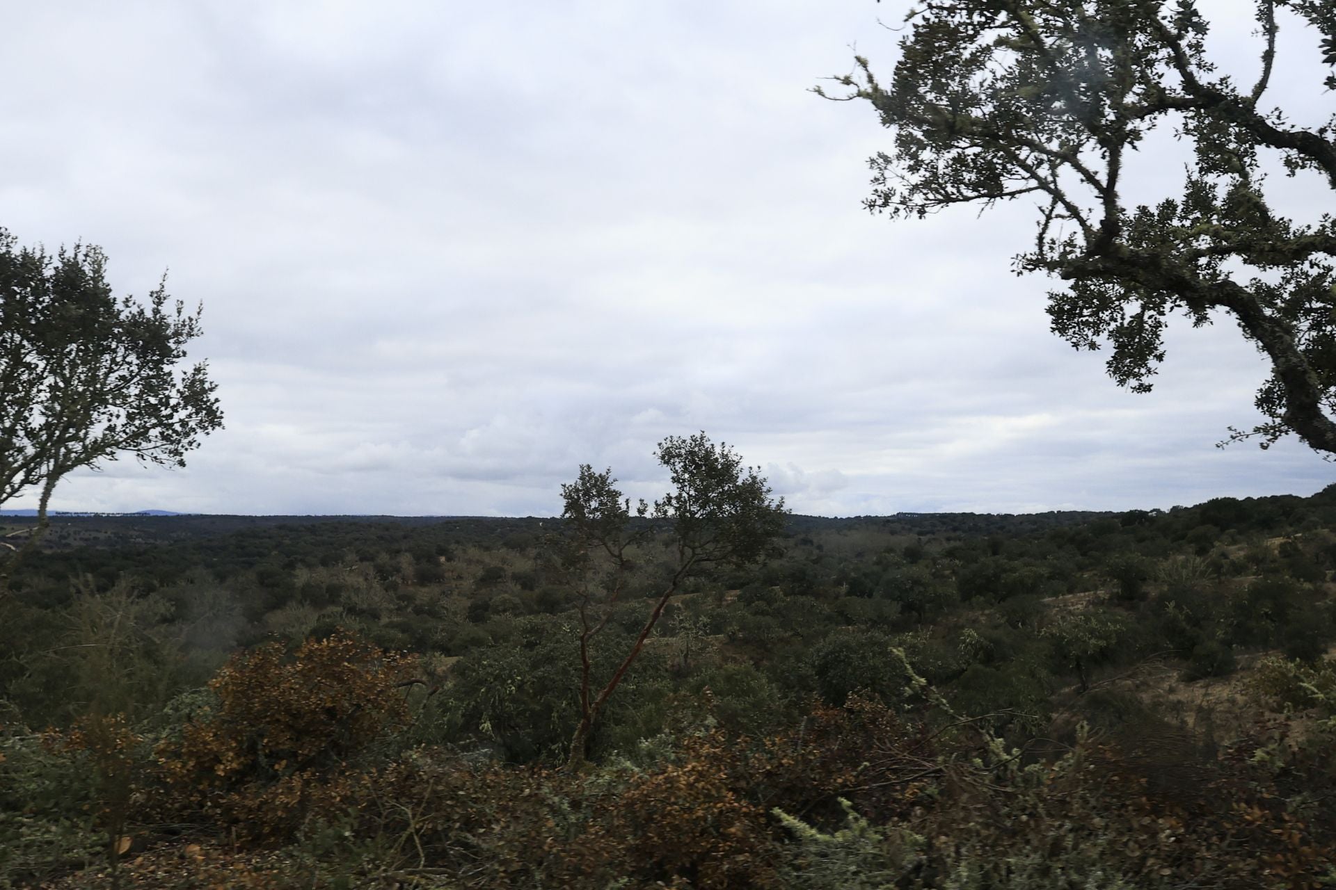 La reserva biológica refugio de especies amenazas en Salamanca