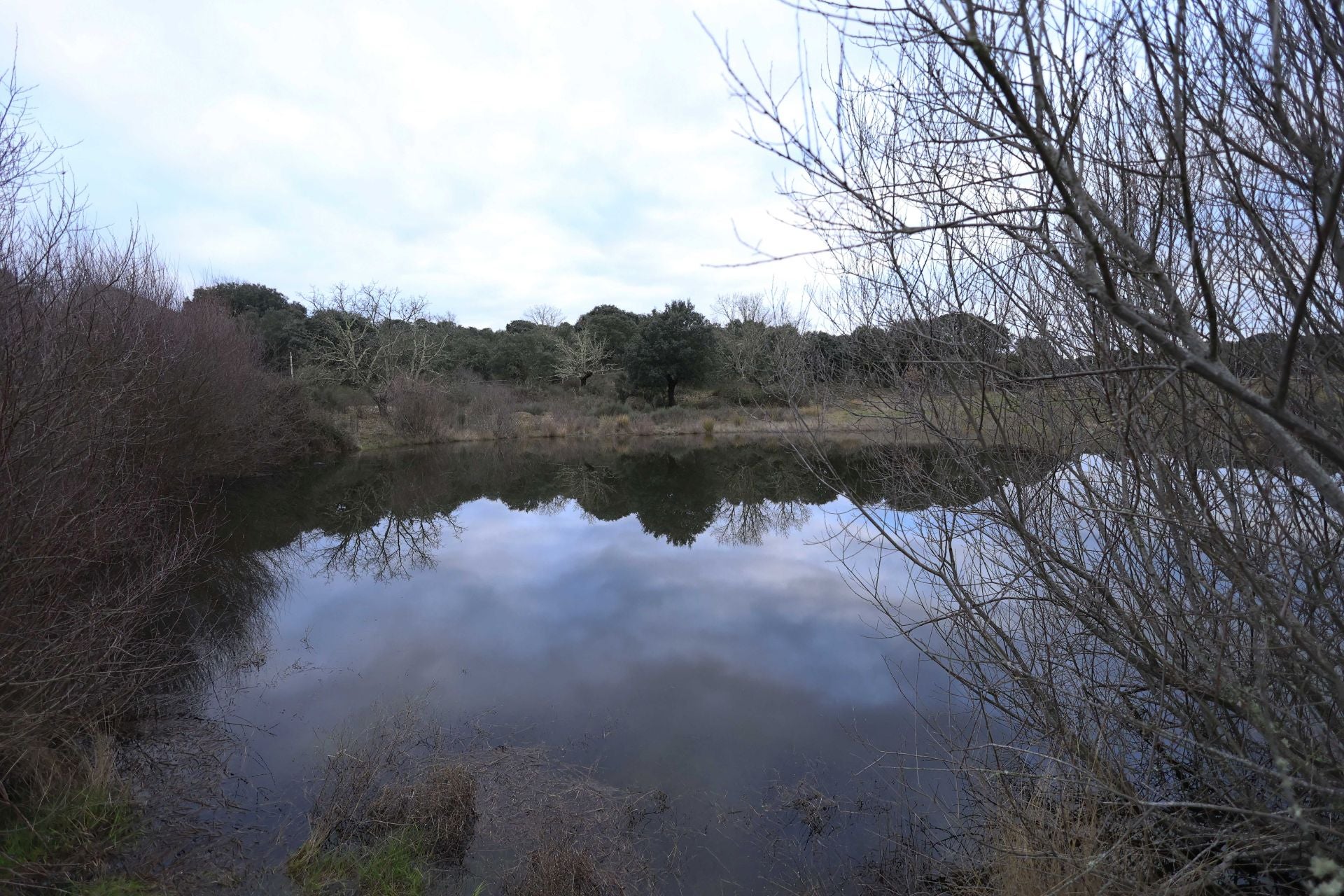 La reserva biológica refugio de especies amenazas en Salamanca