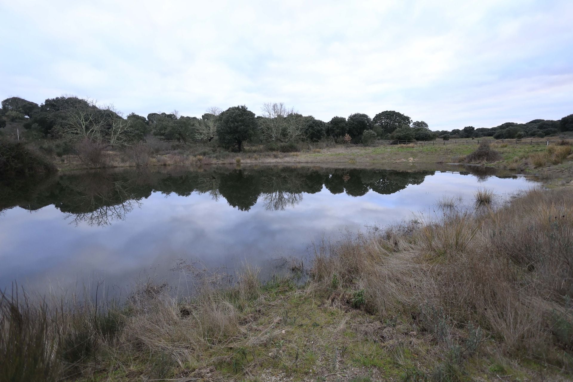 La reserva biológica refugio de especies amenazas en Salamanca