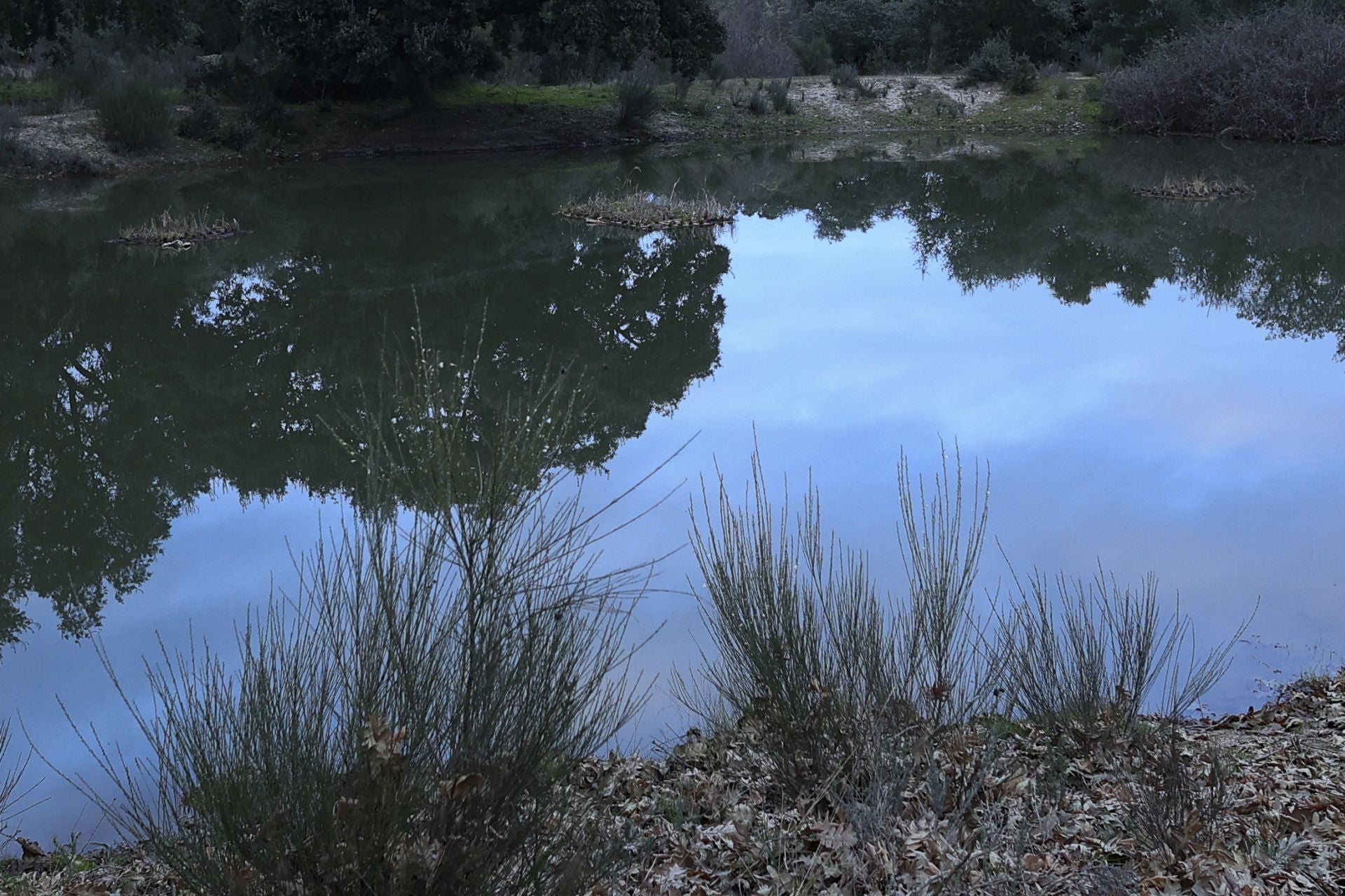 La reserva biológica refugio de especies amenazas en Salamanca