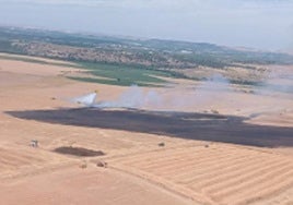 Zona afectada por el incendio en Amatos de Alba.