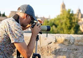 Avistamiento de aves.