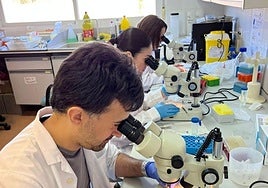 Investigadores, en un laboratorio del IRNASA-CSIC.