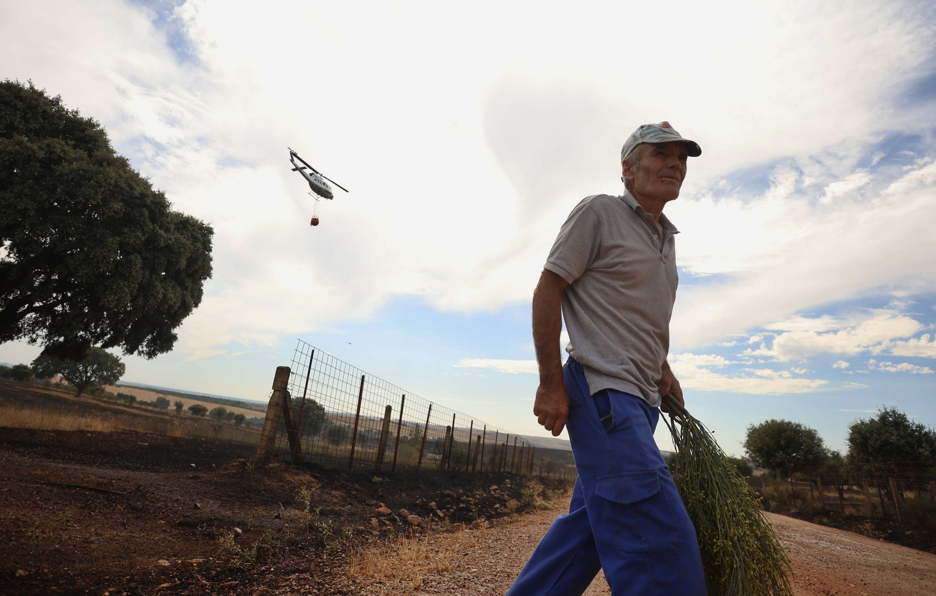 En imágenes, el incendio de Castillejo de Martín Viejo