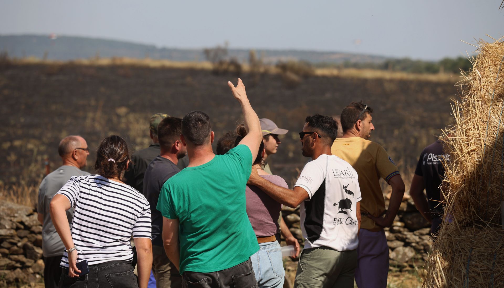 En imágenes, el incendio de Castillejo de Martín Viejo