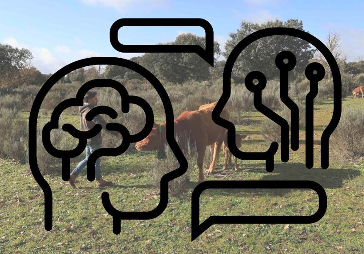 Composición de una imagen de archivo de una ganadería y un logo de diálogo entre un humano y la inteligencia artificial.