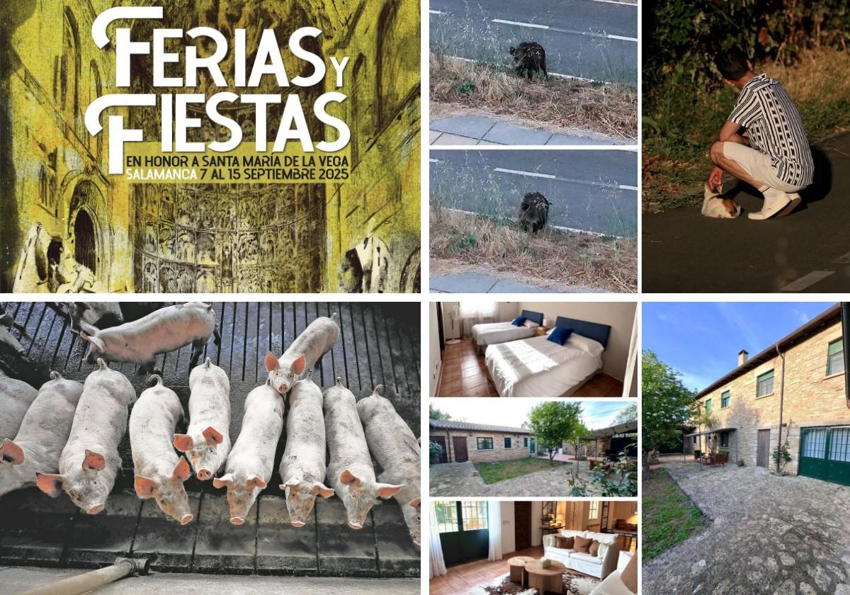 Las noticias imprescindibles de Salamanca este viernes 25 de julio