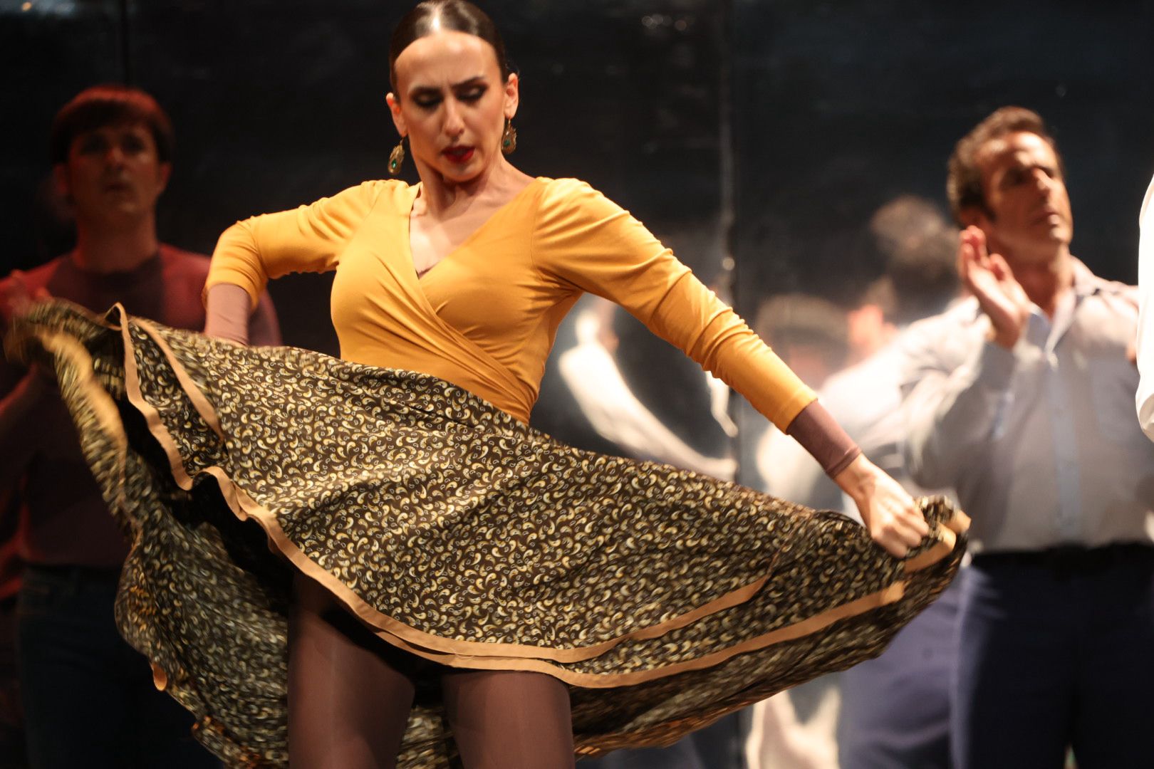 Ballet y flamenco en una emocionante Noche de Fonseca