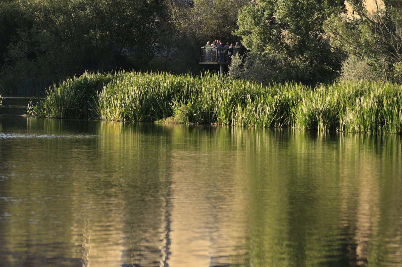El río Tormes de Salamanca, convertido en un escenario único