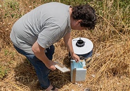 Trampa para mosquitos transmisores del virus del Nilo occidental en Andalucía.