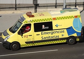 Herido tras volcar con su turismo en Monterrubio de la Sierra