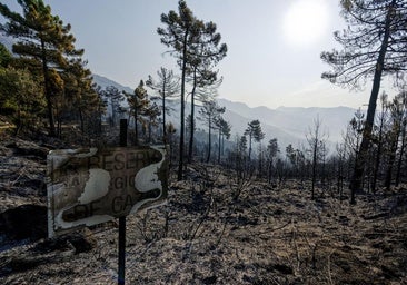 Castilla y León entra en alerta por incendios durante la ola de calor: días y actividades prohibidas