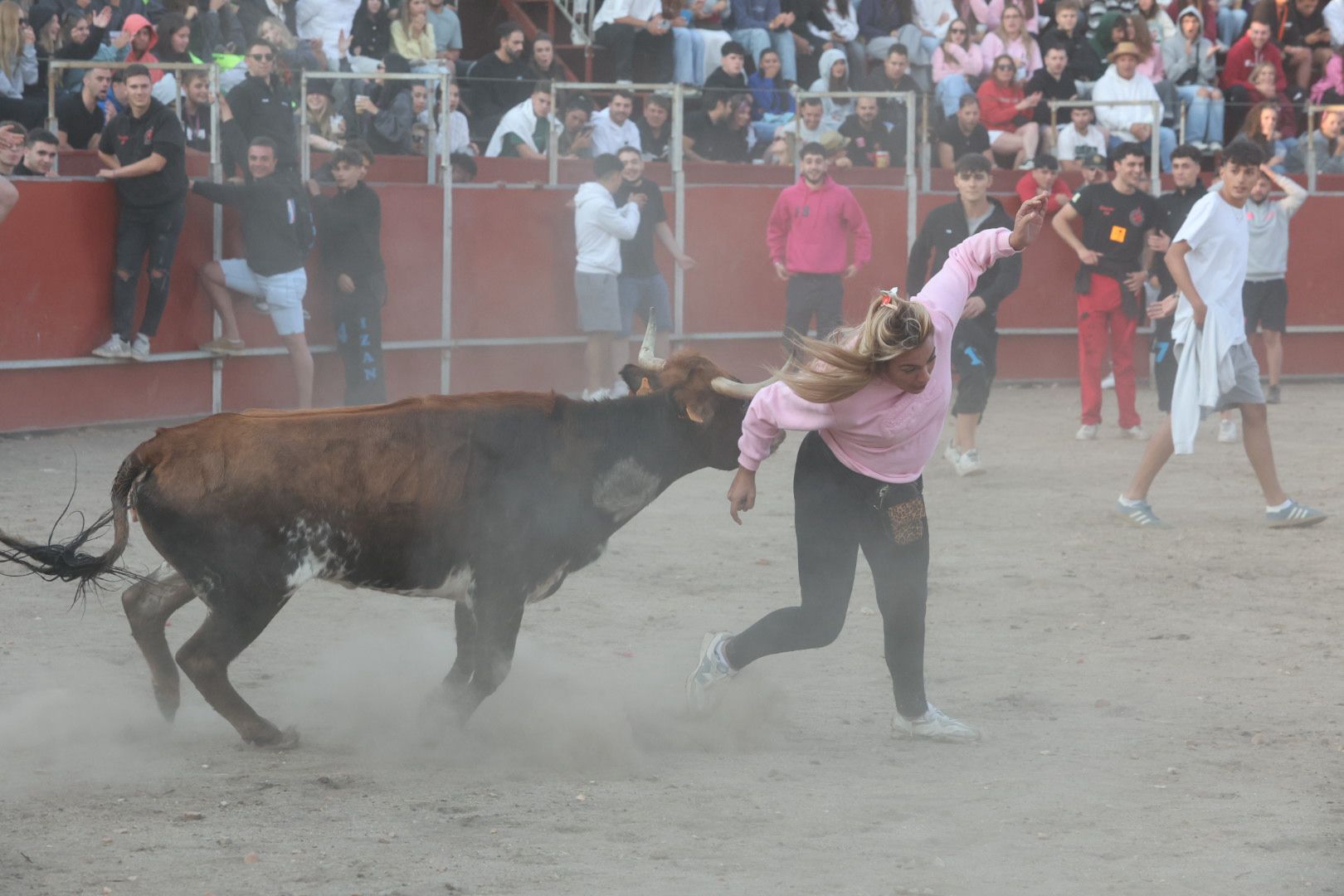 El Toro del Aguardiente en Santa Marta, en imágenes