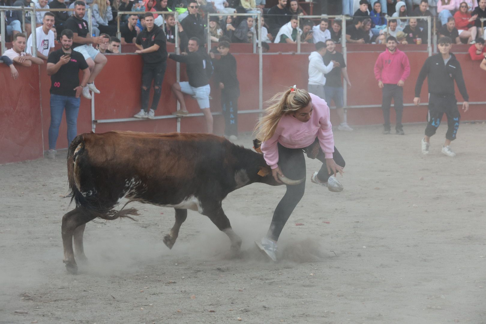 El Toro del Aguardiente en Santa Marta, en imágenes