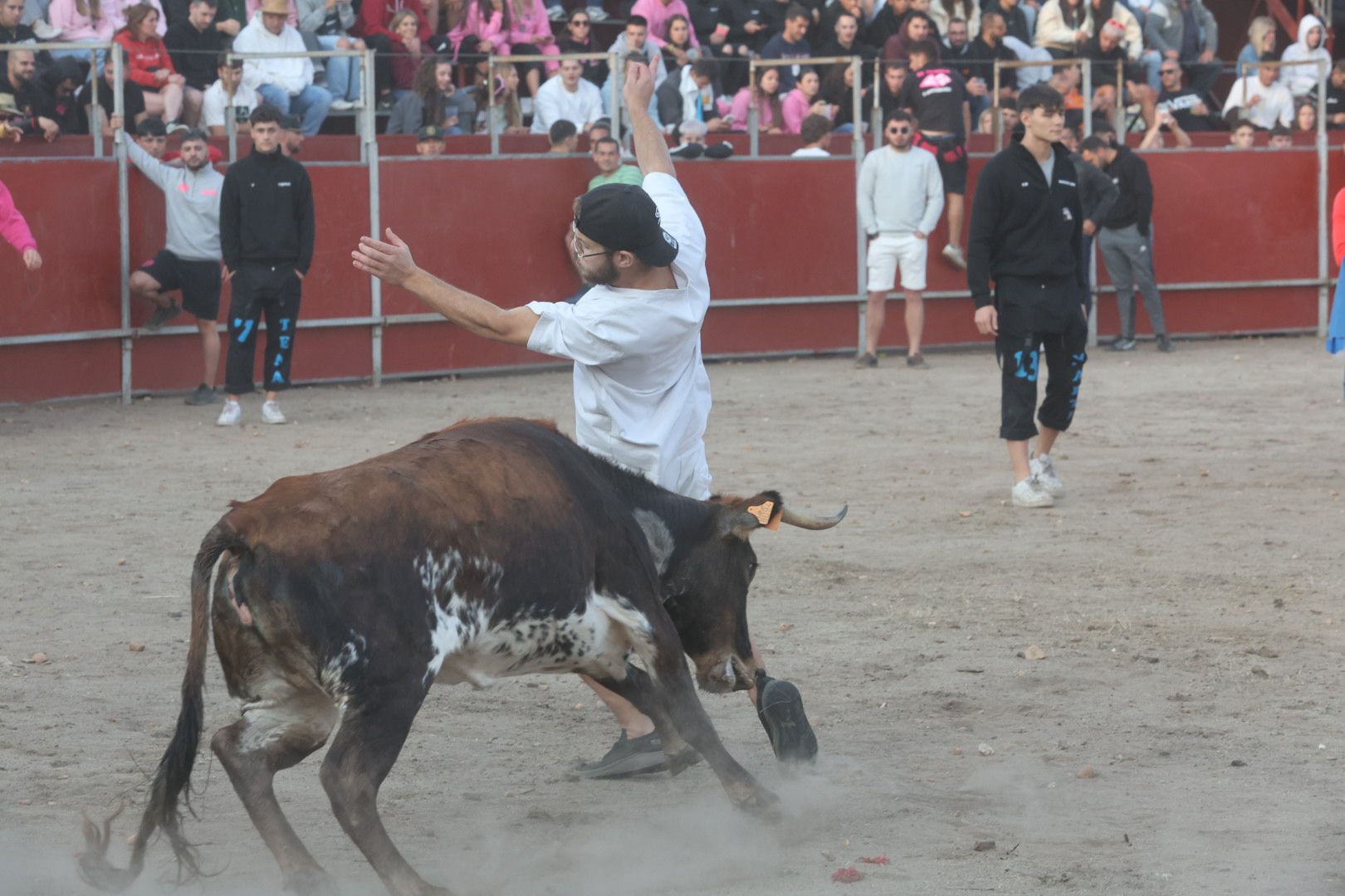 El Toro del Aguardiente en Santa Marta, en imágenes
