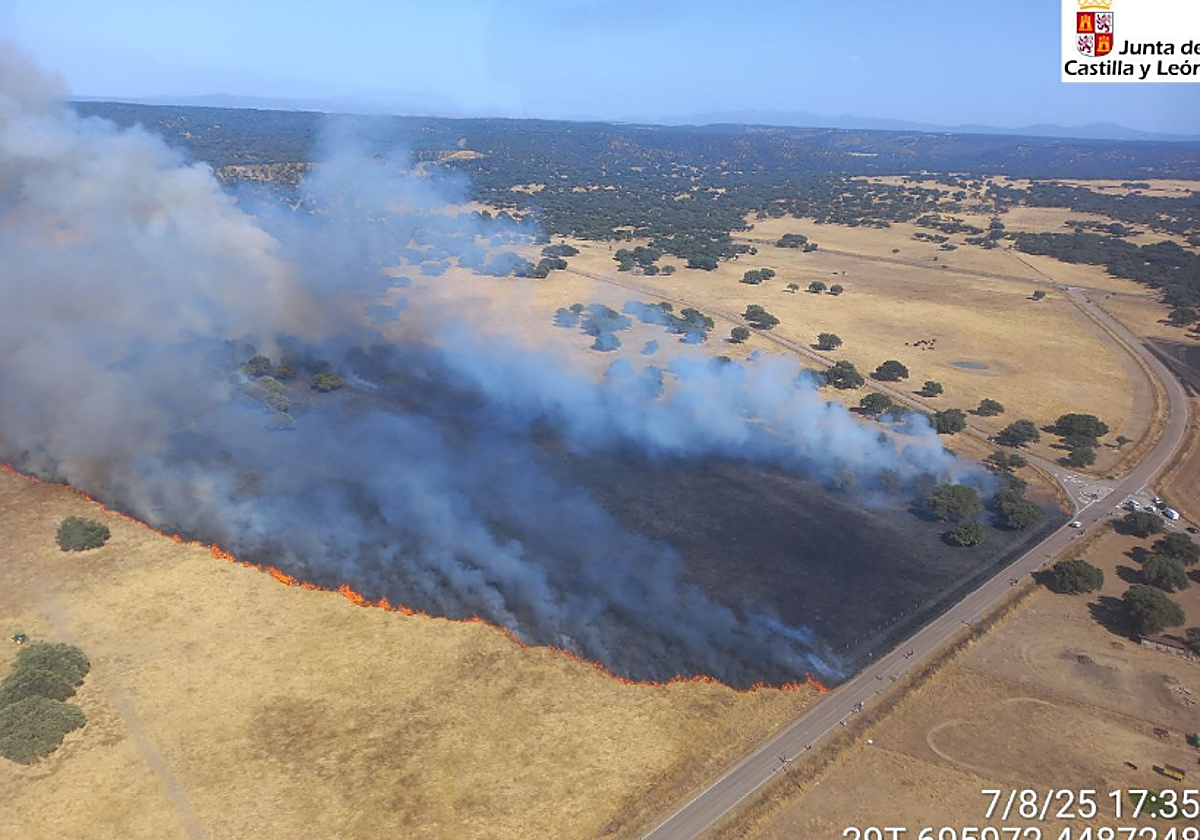 Hasta 30 medios terrestres sofocan un incendio en Carpio de Azaba