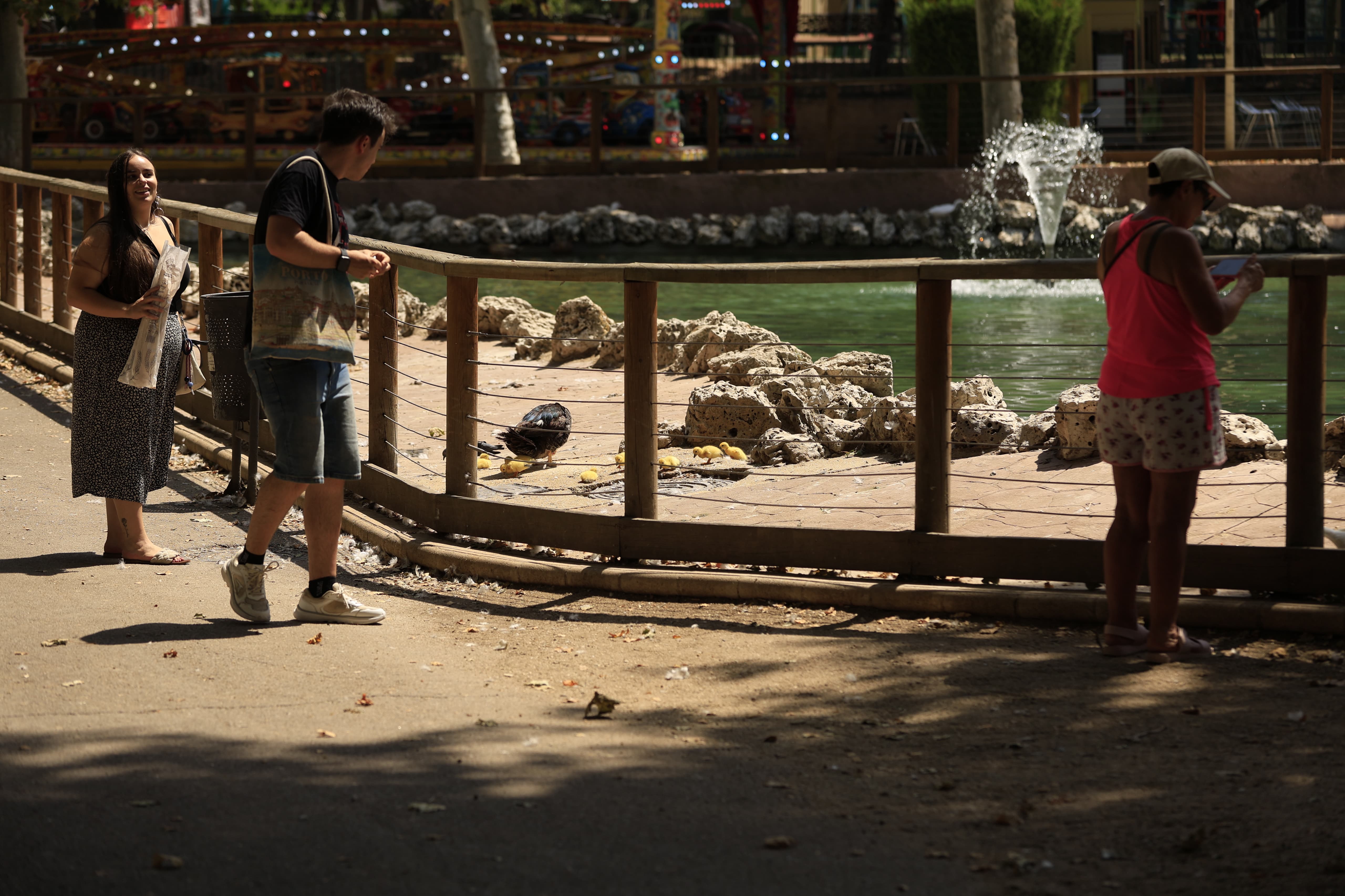 La Alamedilla vuelve a tener nuevos inquilinos amarillos