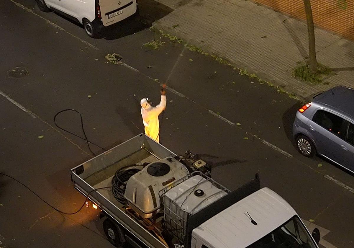 Trabajador fumigando un árbol por la noche