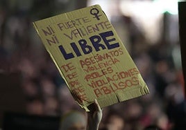 Cartel en la manifestación del 25N en Salamanca.