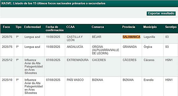 Confirmación del foco de lengua azul en Salamanca por parte del Ministerio.