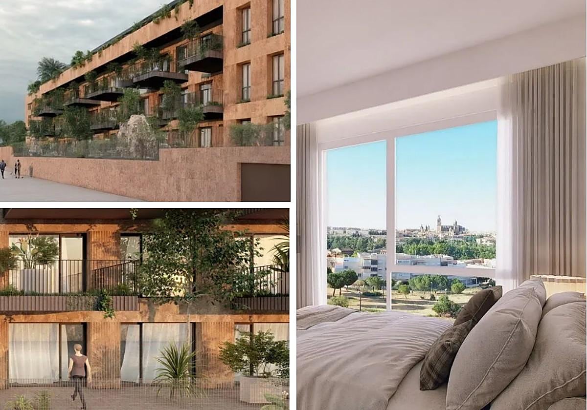 Renders de la nueva promoción en Aldeatejada.