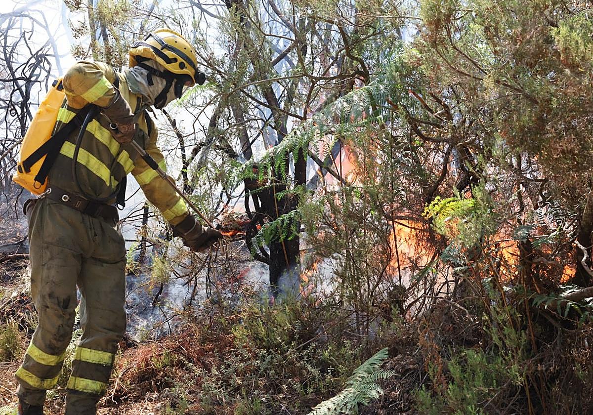 Imagen del incendio en La Alberca.