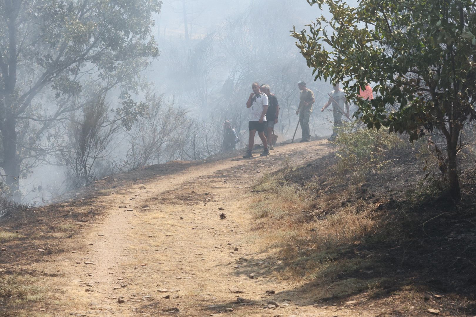 Las imágenes del incendio en La Alberca