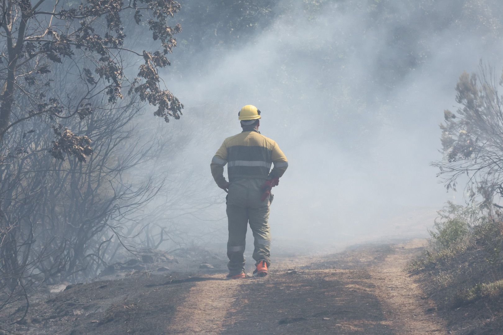Las imágenes del incendio en La Alberca