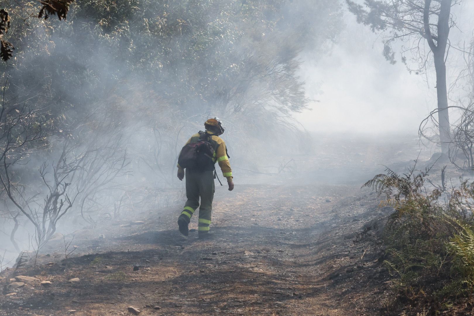 Las imágenes del incendio en La Alberca