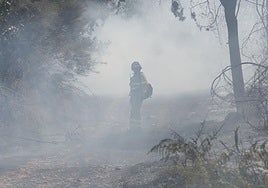 Imagen de una intensa humareda por el fuego en La Alberca.