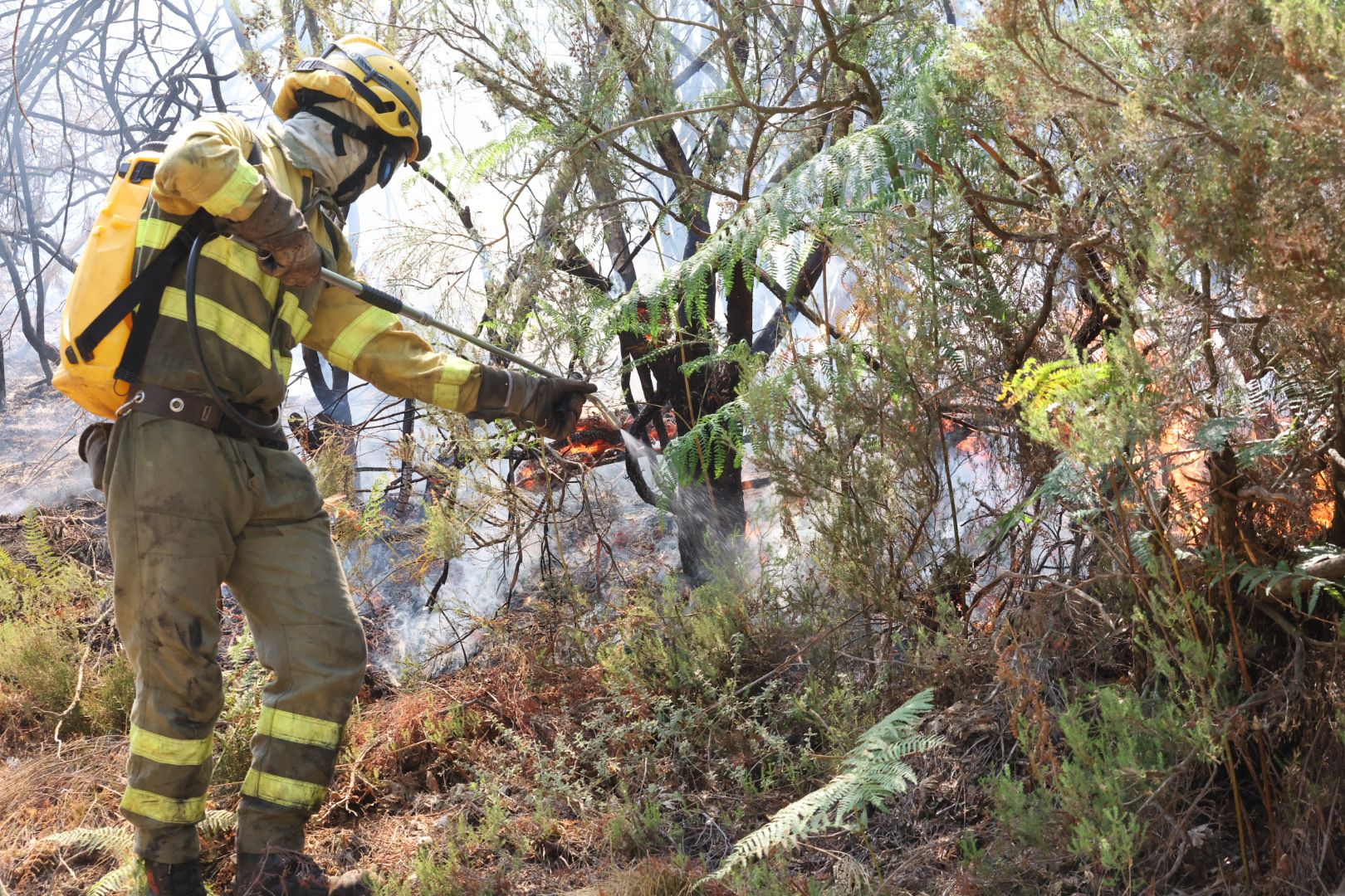 Las imágenes del incendio en La Alberca