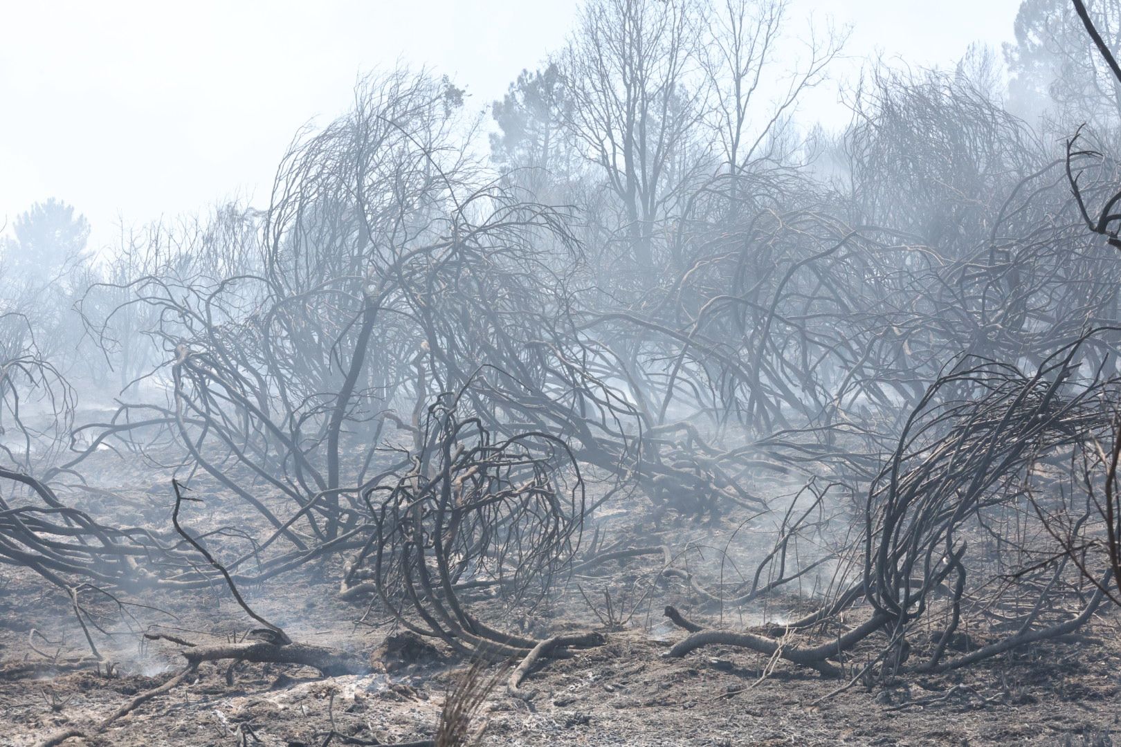 Las imágenes del incendio en La Alberca