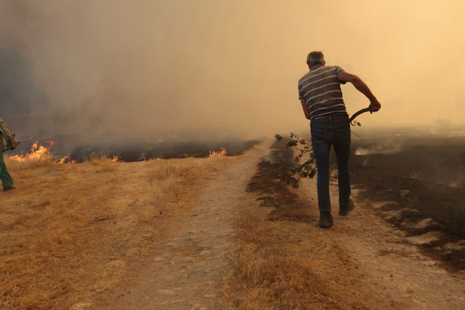 El incendio de Cipérez, en imágenes