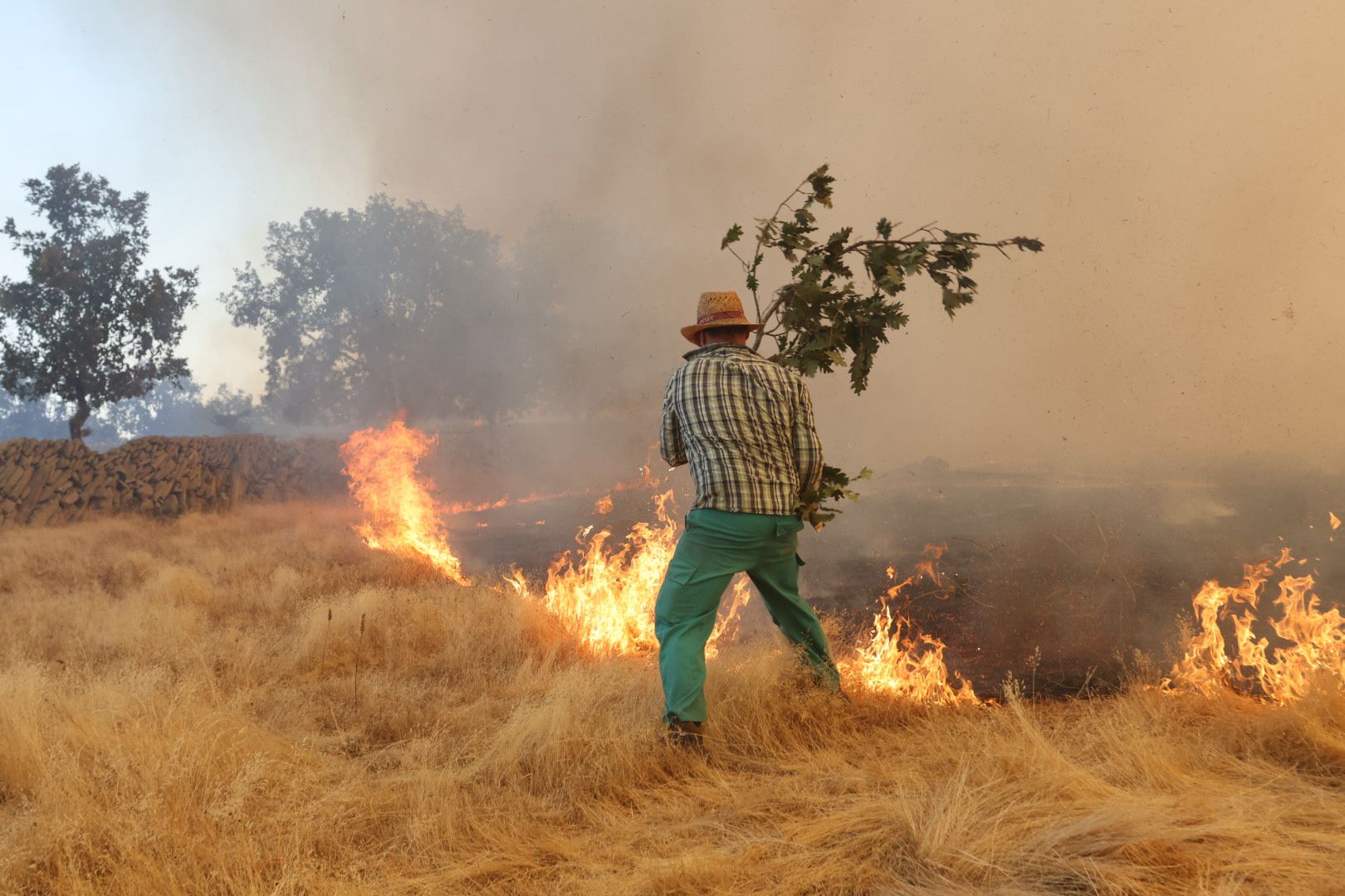 El incendio de Cipérez, en imágenes