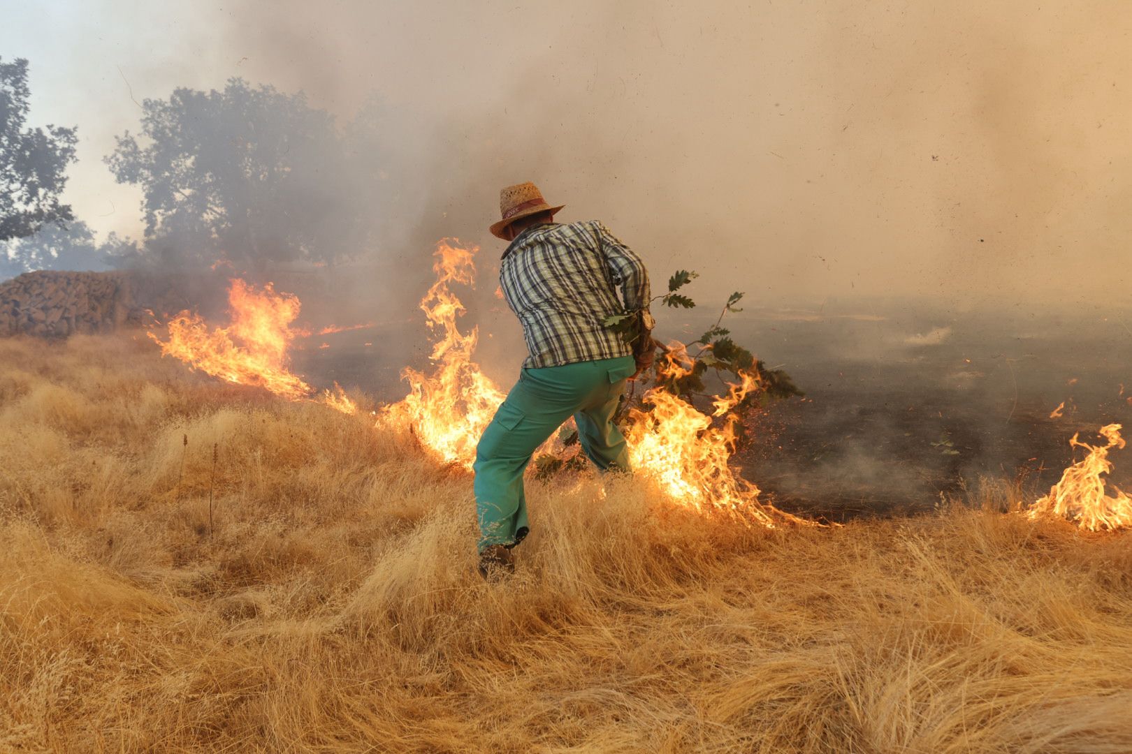 El incendio de Cipérez, en imágenes